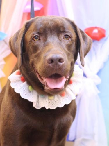 20230628ブルーくん